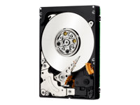 WD XE WD3001BKHG - Hårddisk - 300 GB - inbyggd - 2.5" - SAS 6Gb/s - 10000 rpm - buffert: 32 MB WD3001BKHG