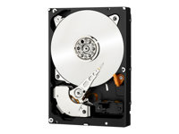 WD RE SAS WD1001FYYG - Hårddisk - 1 TB - inbyggd - 3.5" - SAS 6Gb/s - 7200 rpm - buffert: 32 MB WD1001FYYG