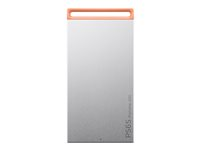 Lenovo PS6S - SSD - 2 TB - extern (portabel) - USB 3.1 Gen 2 (USB-C kontakt) - isgrå 4XB1T88411