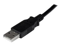 StarTech.com USB till DVI-adapter - 1920x1200 - USB/DVI-adapter - USB (hane) till DVI-I (hona) - USB 2.0 - 27 m - 1920 x 1200 (WUXGA) stöd - svart - för P/N: DVIDDMM10, DVIDDMM6, DVIDSMM10, DVIMM6, DVISPL1DD, HDDVIMM3, HDMIDVIMM10, HDMIDVIMM6 USB2DVIPRO2