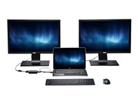 Kensington Universal Multi-Display Adapter - Extern videoadapter - USB 3.0 - DVI - svart K33974EU