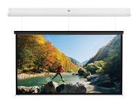 Da-Lite DescenderPro - Projektorduk - takmontering - motoriserad - 230 V - 106.69" (271 cm) - 16:10 - Matte White - RAL 9016 10145756